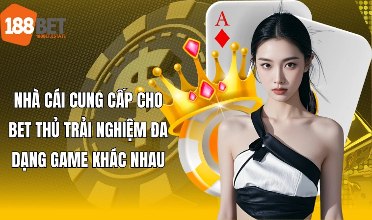 Nhà cái cung cấp cho bet thủ trải nghiệm đa dạng game khác nhau